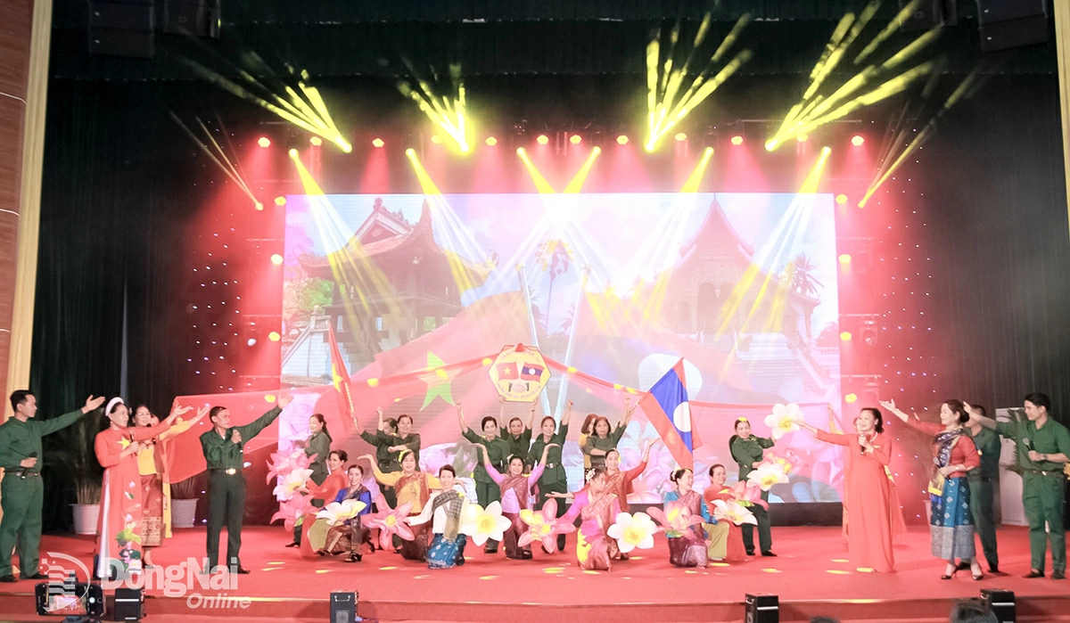 Союз обществ дружбы провинции Донгнай: Распространение дружбы через творческие конкурсы