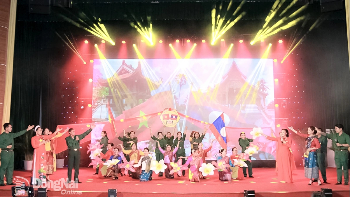 Союз обществ дружбы провинции Донгнай: Распространение дружбы через творческие конкурсы