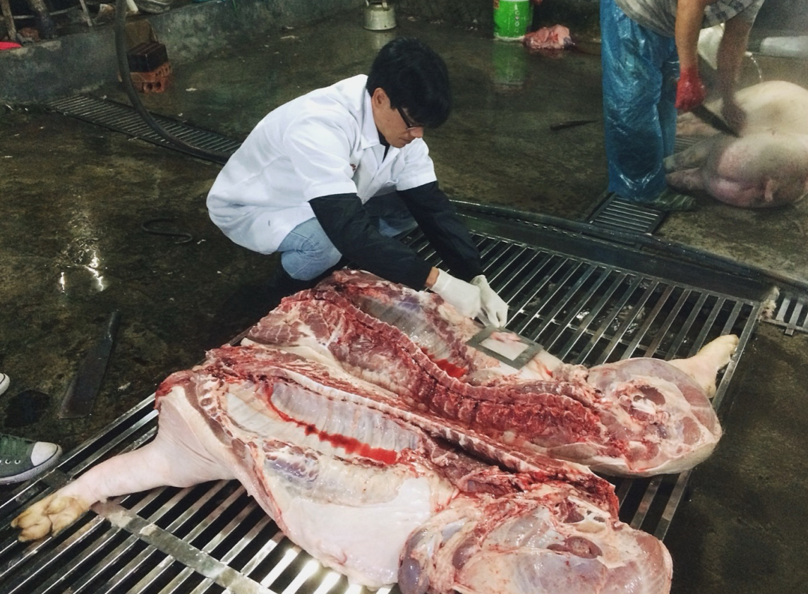 Вклад ILRI во Вьетнаме