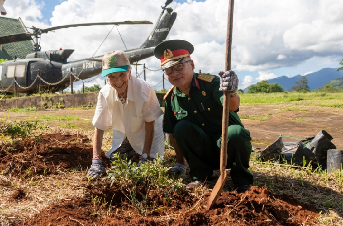 PeaceTrees Vietnam﻿: Способствуя заживлению ран войны, взращивая будущее развития