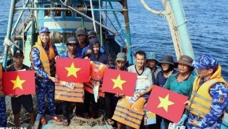 ЕС признает прогресс Вьетнама в борьбе с незаконным, несообщаемым и нерегулируемым рыболовством