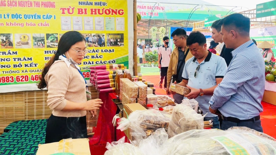 Открылся 3-й фестиваль сельскохозяйственной продукции и ремесленных деревень в Ханое