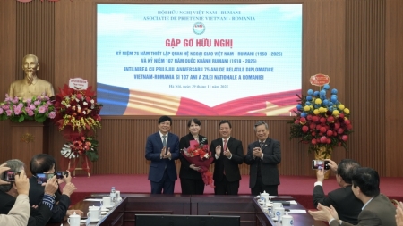 Расширение моста дружбы между Вьетнамом и Румынией