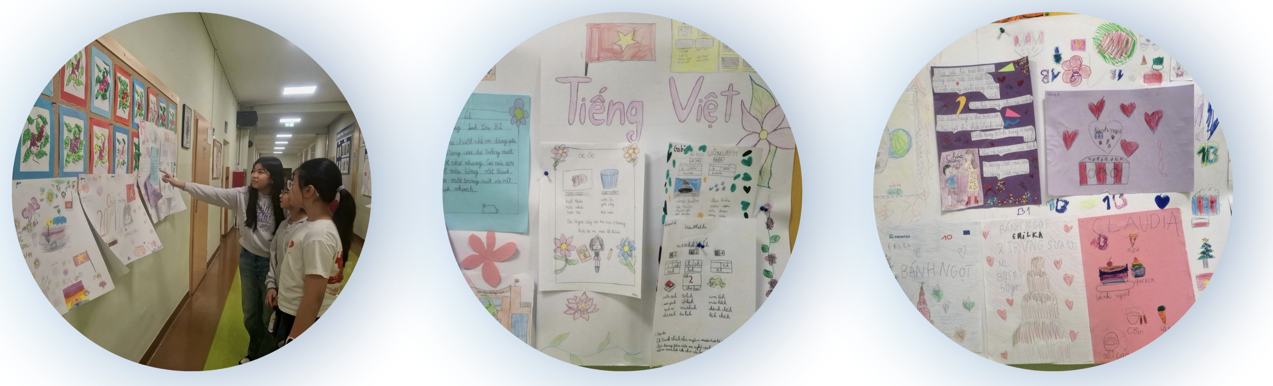 Скоординированные усилия, высокая решимость для устойчивого распространения вьетнамского языка