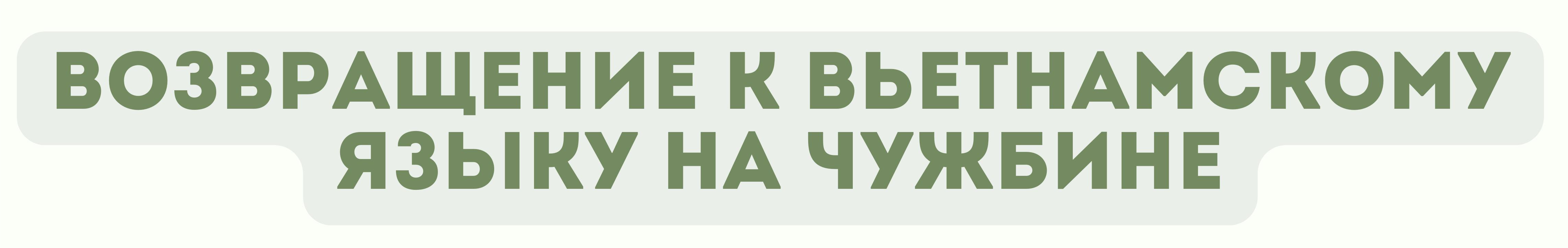 Вьетнамская учительница в Осаке и путь обучения родному языку детей, живущих вдали от Родины Вьетнамская учительница в Осаке и путь обучения родному языку детей, живущих вдали от Родины
