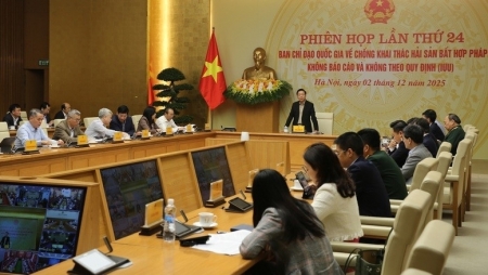 Продвижение борьбы с ННН-промыслом: завершение ключевых задач до 15 декабря