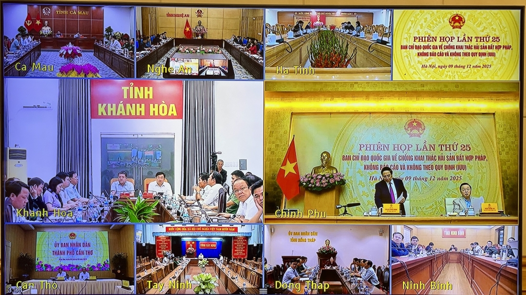 100% рыболовных судов зарегистрированы в системе VNFishbase 100% рыболовных судов зарегистрированы в системе VNFishbase