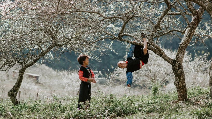 Мокчау удостоен звания ведущего природного туристического направления региона мира