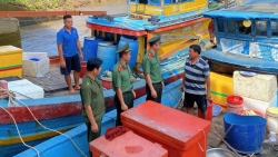 Виньлонг проверяет 100% рыболовных судов и усиливает контроль за ННН-промыслом