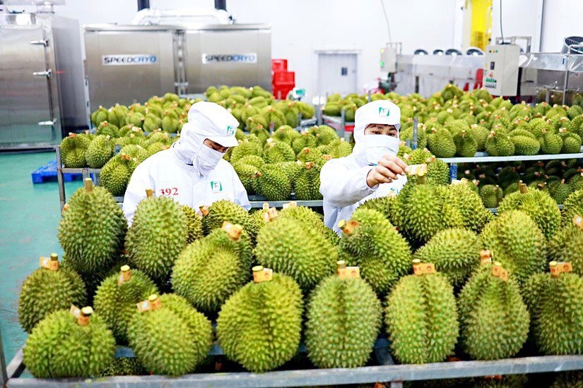 Экспорт фруктов и овощей достигнет нового рекорда в 2024 году. Фото: До Минь