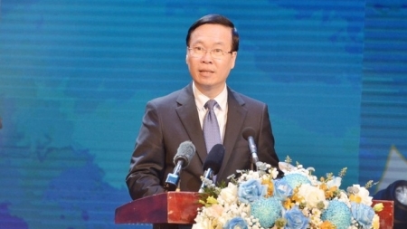 Президент СРВ Во Ван Тхыонг принял участие в программе чествования вьетнамских врачей