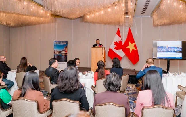 Вьетнам является приоритетным направлением Индо-Тихоокеанской стратегии Канады. Фото: Вьетнам+