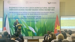 Содействие сельскохозяйственному сотрудничеству между Вьетнамом и Чехией