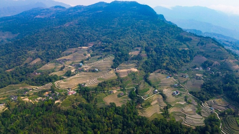 Программа сокращения выбросов Вьетнама защищает тропические леса страны. Фото: Шон Лам