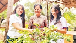 Содействие достижению положительных результатов внешнеполитической работы города Хошимина