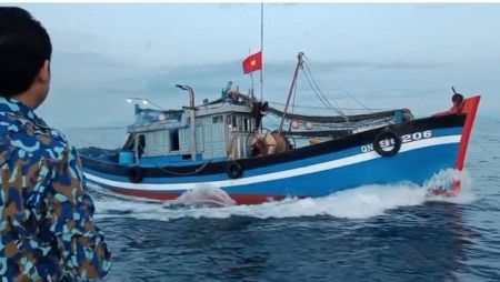 В Куангнаме усилилось морское патрулирование и строго отслеживаются рыболовные суда, нарушающие ННН-промысла