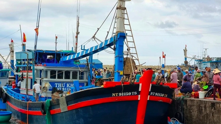 Провинция Ниньтхуан содействует развитию морской экономики