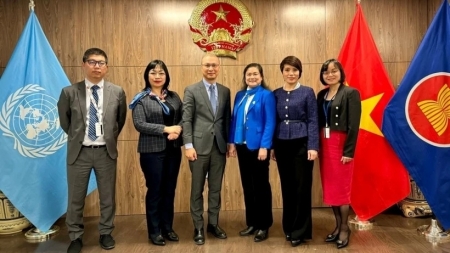 Продвижение реализации инициатив укреплению связей вьетнамских женщин