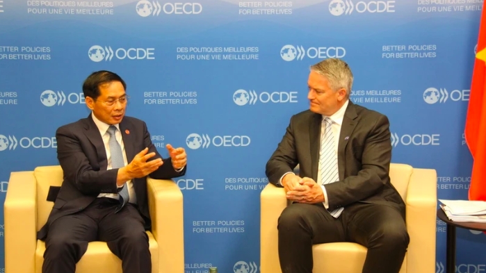ОЭСР высоко ценит Вьетнам в роли сопредседателя Программы Юго-Восточной Азии