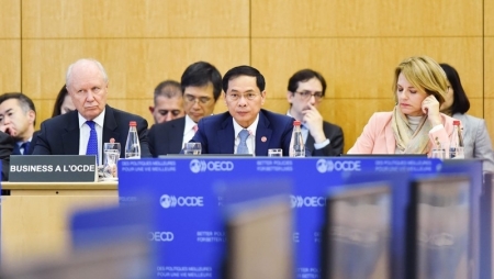 Предложения Вьетнама на Конференции Совета министров ОЭСР
