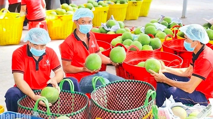 Поддержание экспорта вьетнамской сельскохозяйственной продукции на китайский рынок