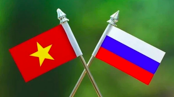 Вологодская область (Россия) стремится к развитию сотрудничества с вьетнамскими регионами