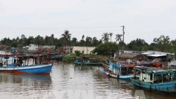 Европейская комиссия стремится поддержать Вьетнам в развитии экологически устойчивого рыболовства