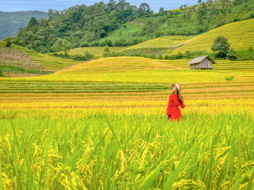 Расположенная на северо-западе Вьетнама, Сапа имеет захватывающие дух природные пейзажи и неоспоримую культурную привлекательность. Фото: Туй Зыонг