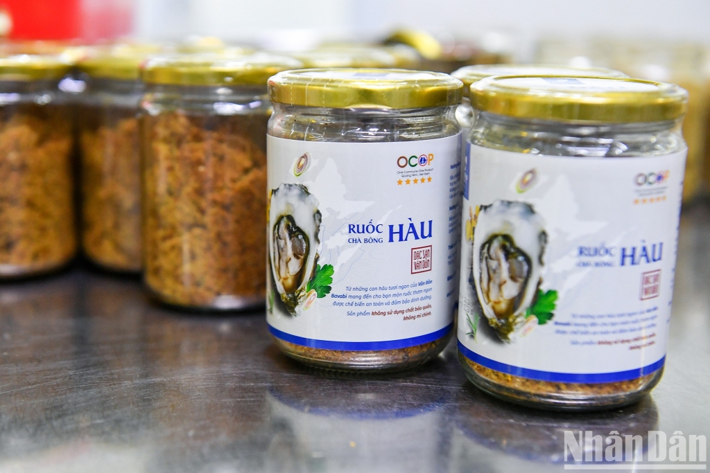 Сушенное устричное мясо Bavabi сертифицирован как 5-звездочный продукт OCOP. Фото: Тхань Дат