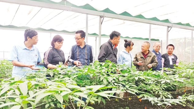 Провинция Шонла развивает сельское хозяйство с применением высоких технологий