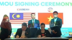 Продвижение сотрудничества между Вьетнамом и Малайзией в сферах культуры, туризма и торговли