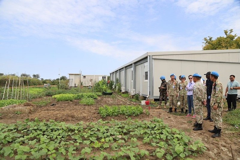 Представителей ООН впечатлил огород в «умном лагере» вьетнамских солдат в регионе Абьей. Фото: Ван Хао