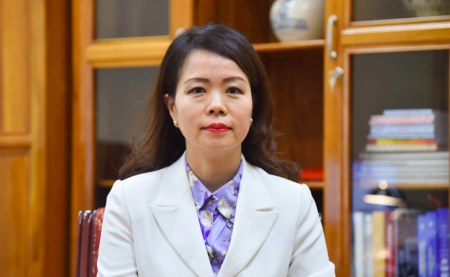Заместитель министра иностранных дел Нгуен Минь Ханг. Фото: Nhandan.vn