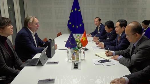 ЕС признает развитие Вьетнама и его способность к зеленой трансформации