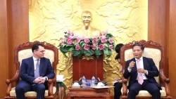 Вьетнам и Румыния продвигают сотрудничество по партийному каналу и народной дипломатии