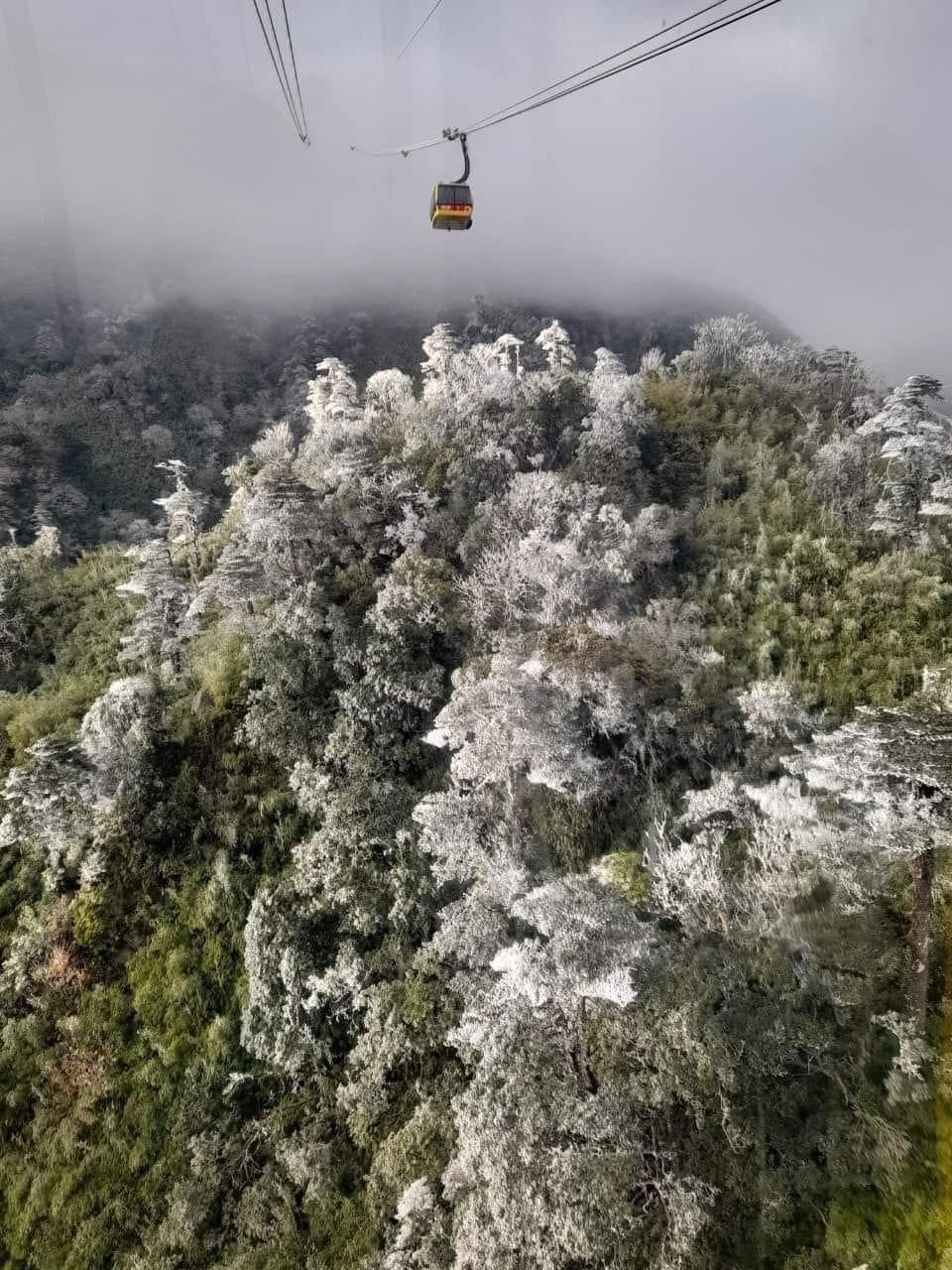 Заморозка и инея покрыли вершину Фансипана в Лаокай