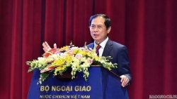 Вьетнамская дипломатия в интересах защиты и развития страны