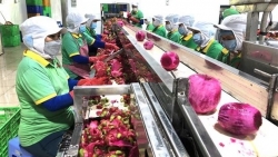Донгнай экспортировала первую партию переработанных фруктов в 2022 году
