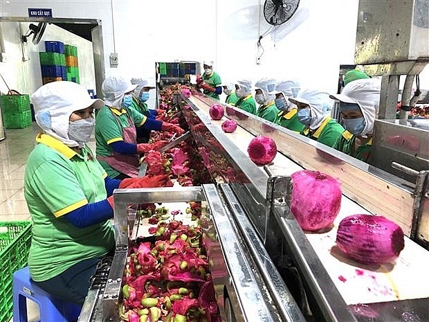 Донгнай экспортировала первую партию переработанных фруктов в 2022 году