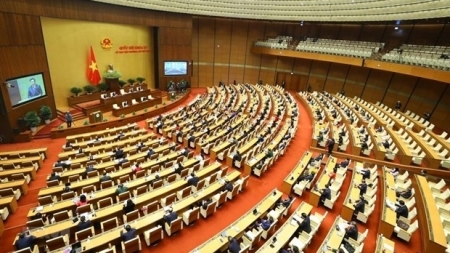 Депутаты обсудили в группах три важных вопроса