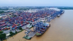 Объем торговли между Вьетнамом и США впервые превысил 100 млрд. долларов