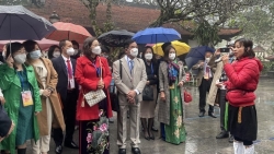 Весна на Родине 2022: Делегация эмигрантов посетила достопримечательность Тэйтхиен в провинции Виньфук
