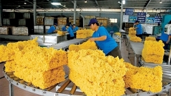 Вьетнам стал третьим экспортером каучука в мире