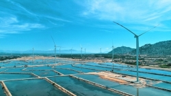 JICA планирует финансировать проект развития береговой ветроэнергетики в провинции Ниньтхуан