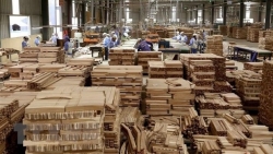 К 2030 году экспорт древесины и изделий из дерева достигнет 25 млрд. долл. США