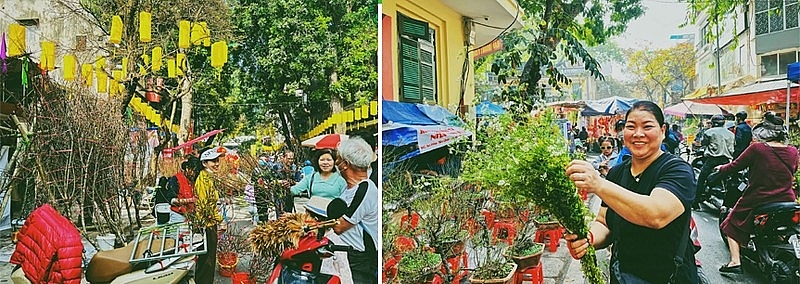 Цветочный рынок в тэтские дни – культурные черты ханойцев