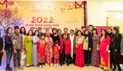 Различные мероприятия вьетнамцев за рубежом по встрече Нового года по лунному календарю