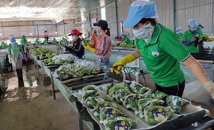 Многие грузовики с сельхозпродукцией въехали в Китай раньше, чем ожидалось.