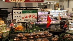 Много возможностей для вьетнамской сельскохозяйственной, рыбной и пищевой продукции на японском рынке