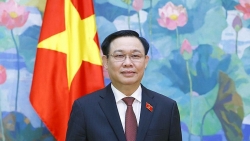 Председатель Нацсобрания Выонг Динь Хюэ поздравил новоизбранного спикера нижней палаты Казахстана Ерлана Кошанова